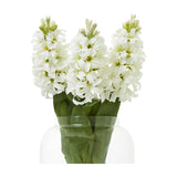 Hill Interiors White Hyacinth Stem shown as three faux stems with clustered star-shaped florets and green leaves in a clear glass vase.