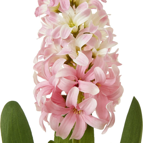Close-up of Hill Interiors Pink Hyacinth Stem showing tightly clustered pale pink star-shaped florets around a central spike with green leaves at the base.