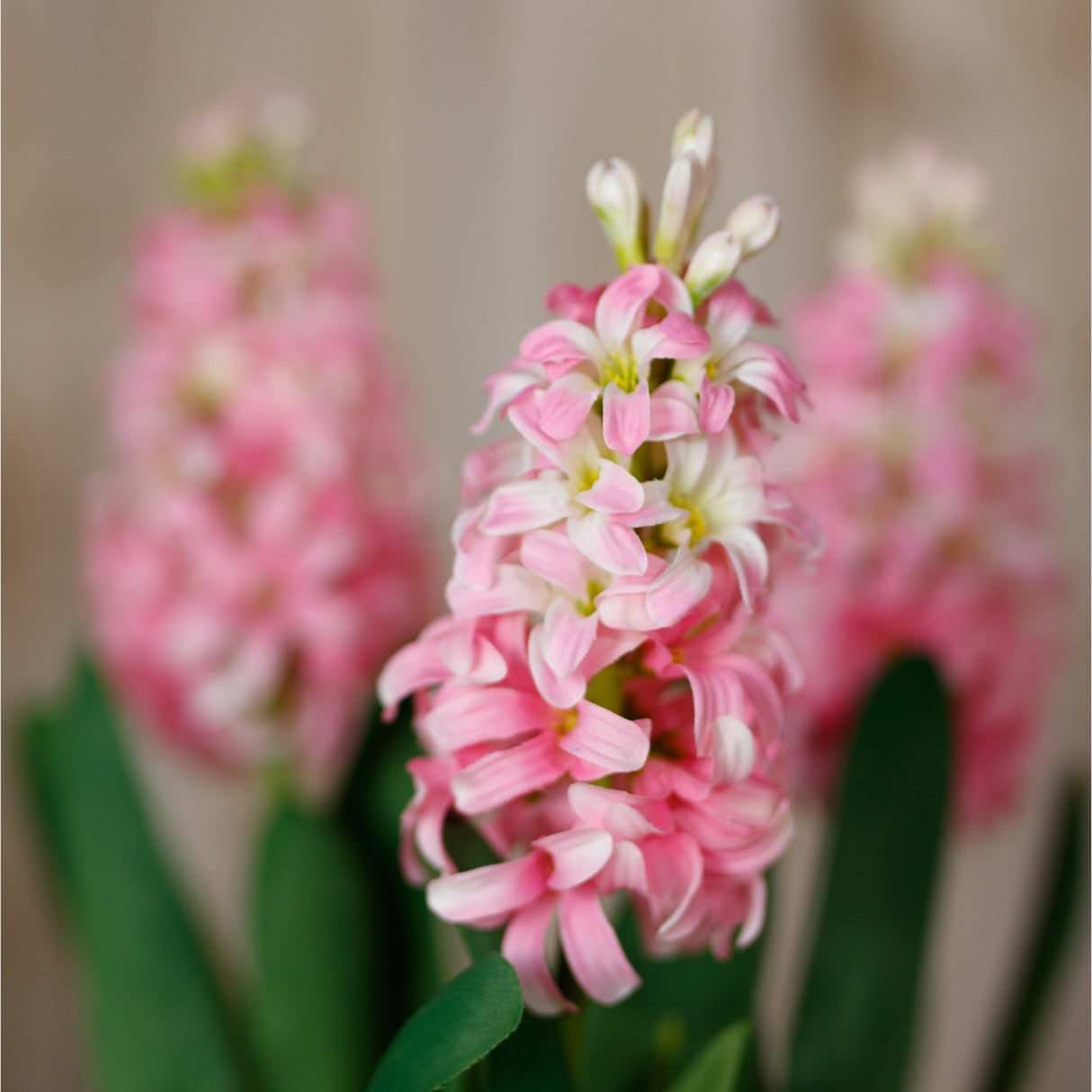 Hill Interiors Pink Hyacinth Stem faux flower with clustered pink florets and green leaves, shown with two blurred matching stems behind.