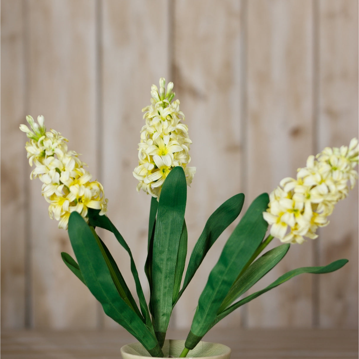 Hill Interiors Yellow Hyacinth Stems with three upright spikes of soft buttery florets and slim green leaves, displayed against a light wooden panel background.