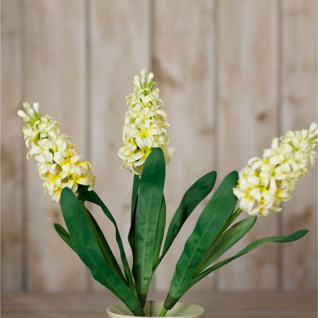 Hill Interiors Yellow Hyacinth Stems with three upright spikes of soft buttery florets and slim green leaves, displayed against a light wooden panel background.