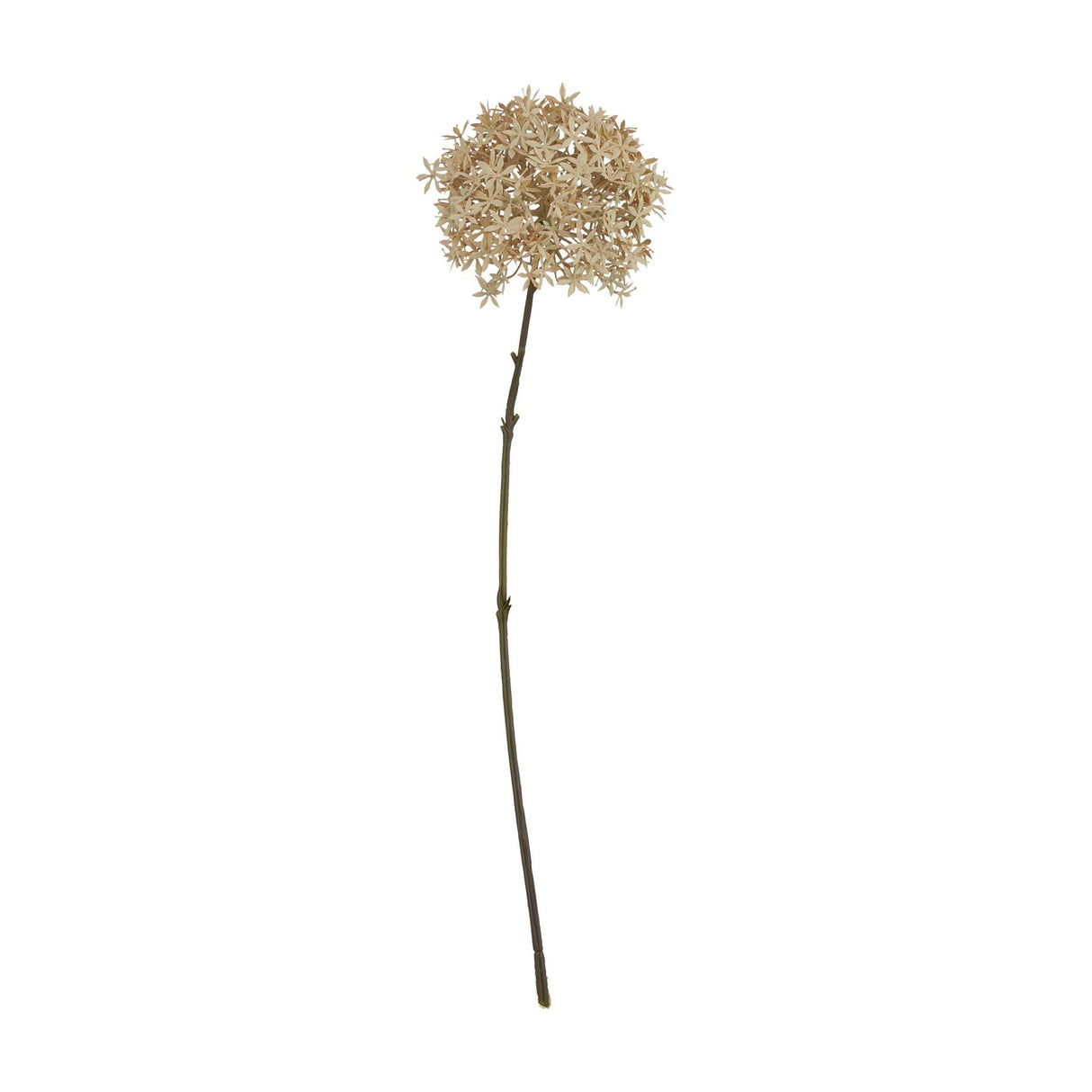 Hill Interiors Coffee Allium faux flower stem with a spherical head of tiny brown florets on a long plastic stem, shown against a plain white background.