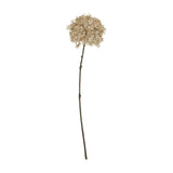Hill Interiors Coffee Allium faux flower stem with a spherical head of tiny brown florets on a long plastic stem, shown against a plain white background.