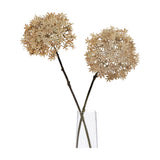 Hill Interiors Coffee Allium faux stems with spherical brown floret heads displayed in a clear glass vase against a white background.