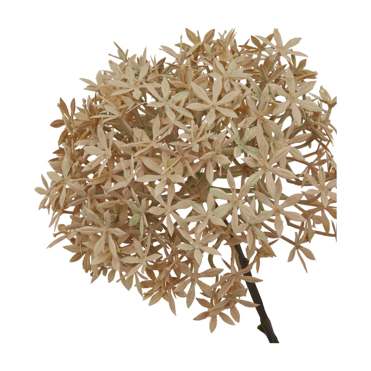Hill Interiors Coffee Allium faux flower stem with a spherical head of tiny brown florets on a slim stem, shown against a plain white background.