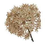 Hill Interiors Coffee Allium faux flower stem with a spherical head of tiny brown florets on a slim stem, shown against a plain white background.