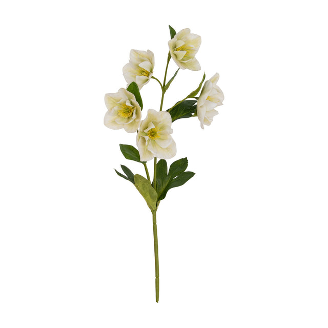 Hill Interiors White Hellebore Stem with five cup-shaped white blooms, yellow stamens and deep green leaves on a bendable stem, on a white background.