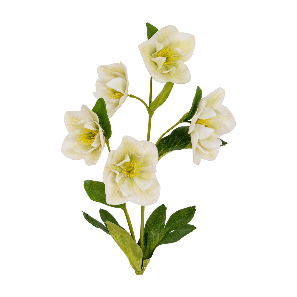 Hill Interiors White Hellebore Stem with five cup-shaped white blooms, yellow stamens and green leaves on a bendable stem, shown on a plain white background.