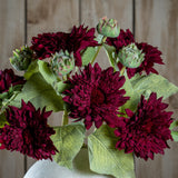 Hill Interiors Dahlia Burgundy Raven Stem arrangement with layered deep red blooms and green buds among broad leaves in a pale vase against wood panelling.