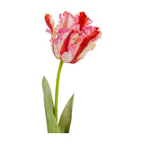 Hill Interiors Multi Pink Parrot Tulip faux stem with ruffled red and pink fringed petals and slim green leaves on a plain white background.