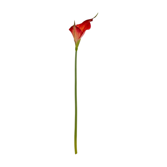 Hill Interiors Fireball Calla Lily faux stem with a red trumpet-shaped bloom and long green plastic stem on a plain white background.