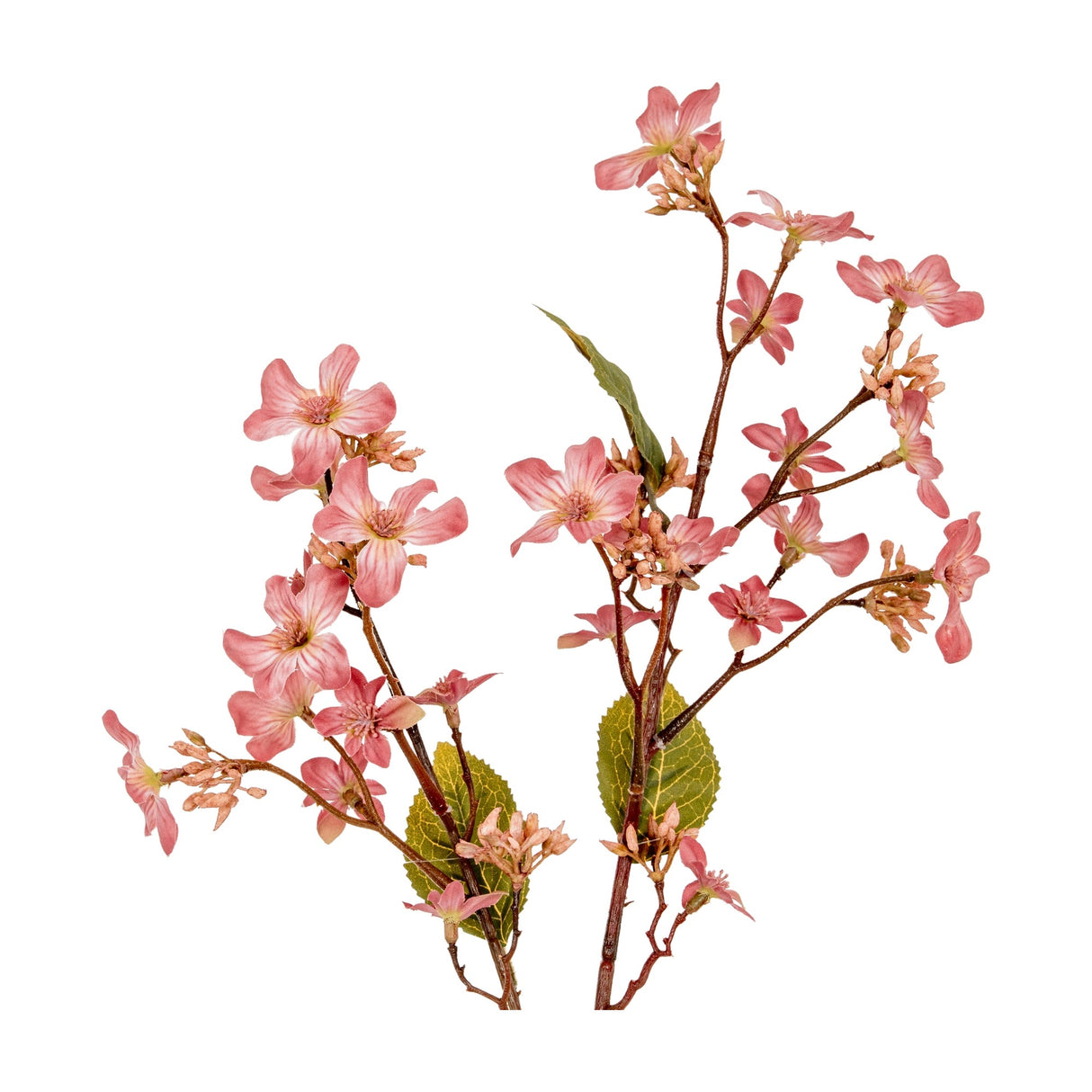 Hill Interiors Pink Vernicia Fordii Spray with cupped blush blooms, buds and veined green leaves on branching stems, shown on a white background.
