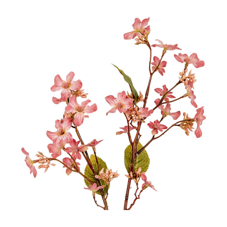 Hill Interiors Pink Vernicia Fordii Spray with cupped blush blooms, buds and veined green leaves on branching stems, shown on a white background.