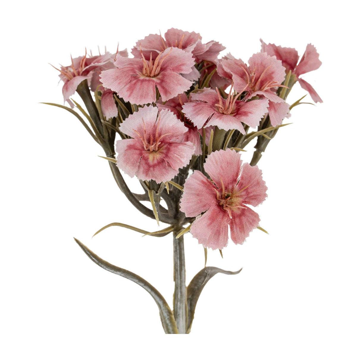 Hill Interiors Pink Dianthus Spray with a cluster of fringed blush and rose blooms on a branching green stem, shown against a plain white background.