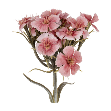 Hill Interiors Pink Dianthus Spray with a cluster of fringed blush and rose blooms on a branching green stem, shown against a plain white background.