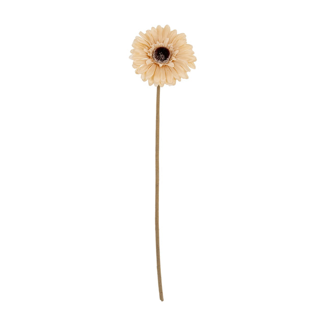 Hill Interiors Cream Gerbera Stem, a faux flower with a single open bloom of pale cream petals and dark textured centre on a long stem, on white.