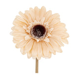 Hill Interiors Cream Gerbera Stem faux flower with cream petals radiating around a textured brown centre on a slim stem, shown on a plain white background.