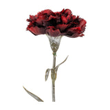 Hill Interiors Burgundy Carnation Stem with layered fringed deep red petals and slim green foliage on a plain white background.