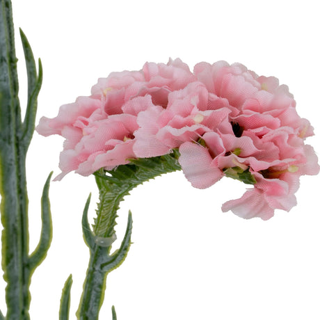 Close-up of the Hill Interiors Pink Statis Spray faux flower stem with papery pale pink blooms on a green branching stem against a white background.