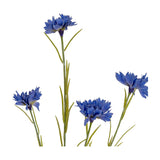 Hill Interiors Blue Cornflower Stem faux flowers with frilled blue petals and slim green leaves, shown against a plain white background.