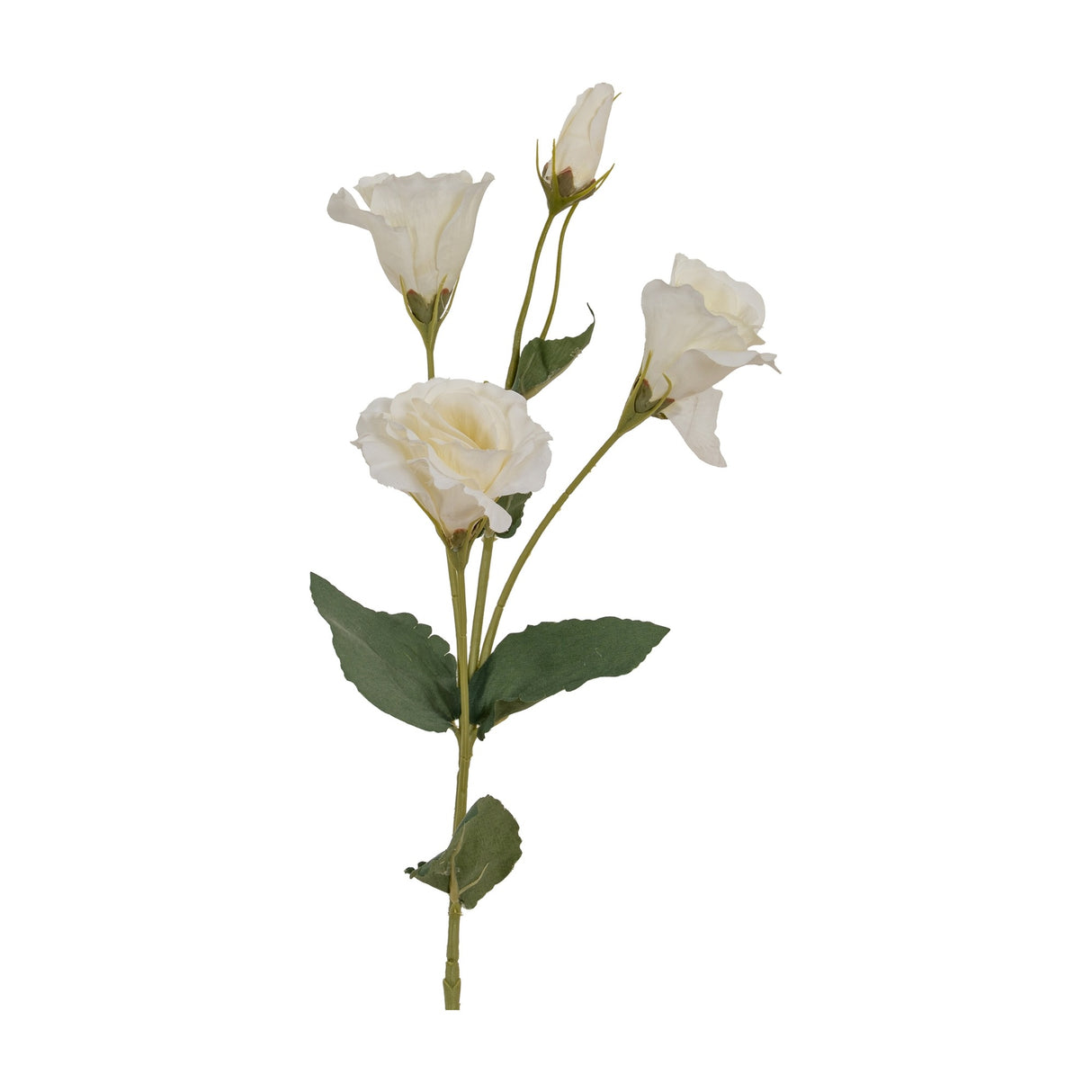 Hill Interiors White Lisianthus Spray faux flower stem with open cream blooms, tighter buds and slim green leaves, shown on a plain white background.
