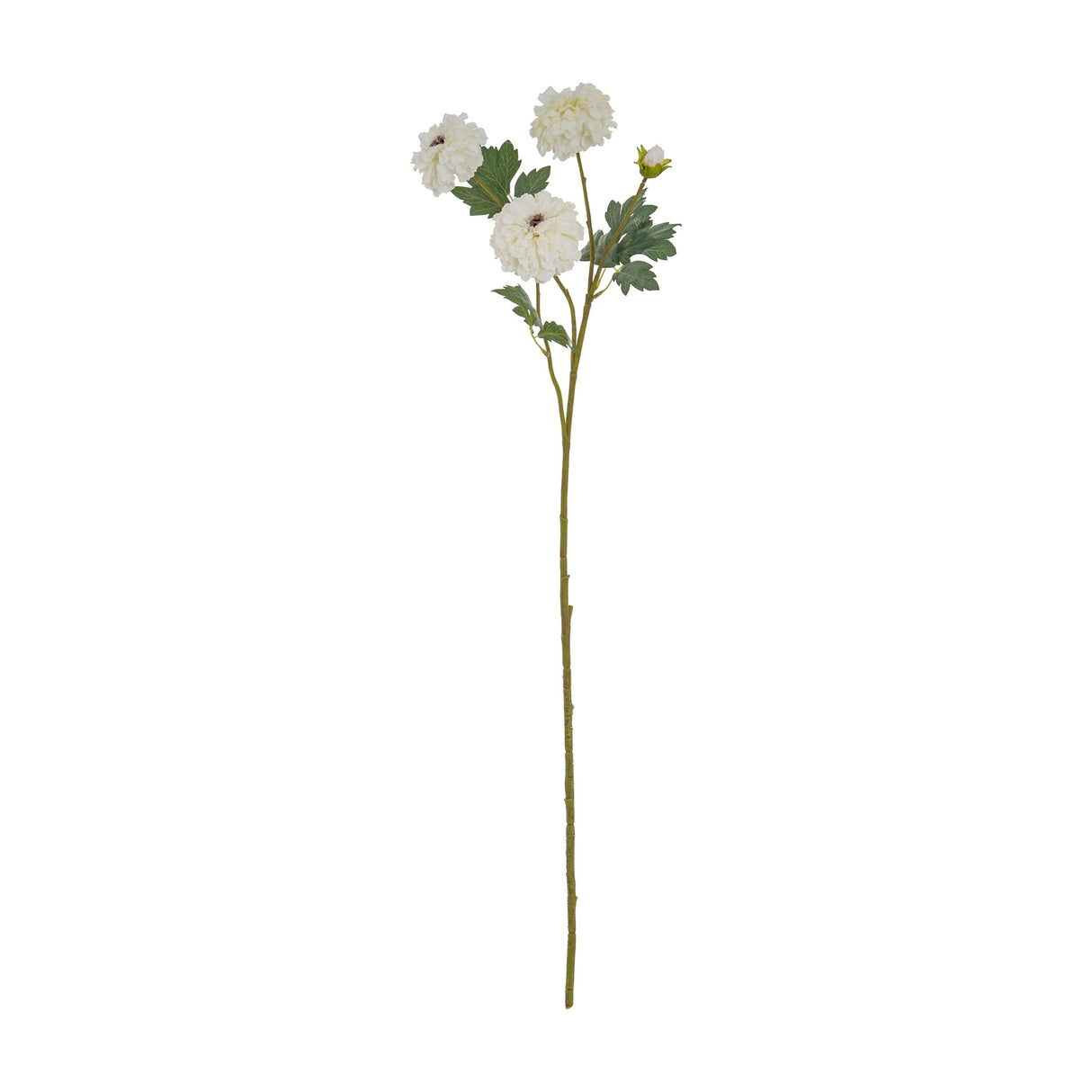 Hill Interiors White African Marigold Large Spray with three white pom-pom blooms, a small bud and green foliage on a tall stem, on white.