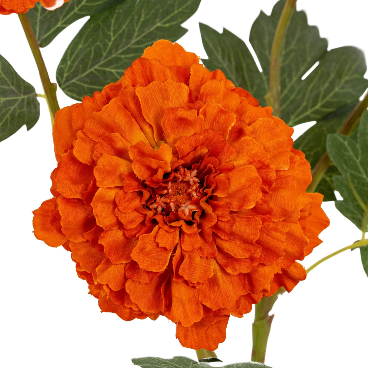 Close-up of the Hill Interiors Orange African Marigold Large Spray showing a densely ruffled orange pom-pom bloom with slim green foliage behind.