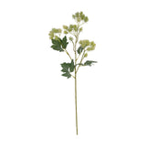 Hill Interiors Green French Meadow Spray, a faux branching stem with clusters of pale green blooms and dark green leaves, on a plain white background.