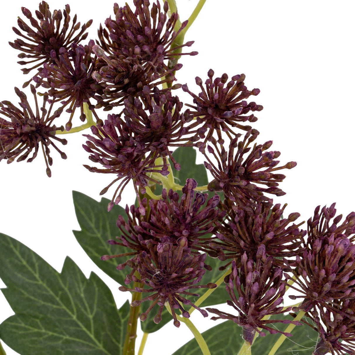Close-up of Hill Interiors Purple French Meadow Spray with clustered purple blooms, fine buds and green leaves on slim stems against a white background.