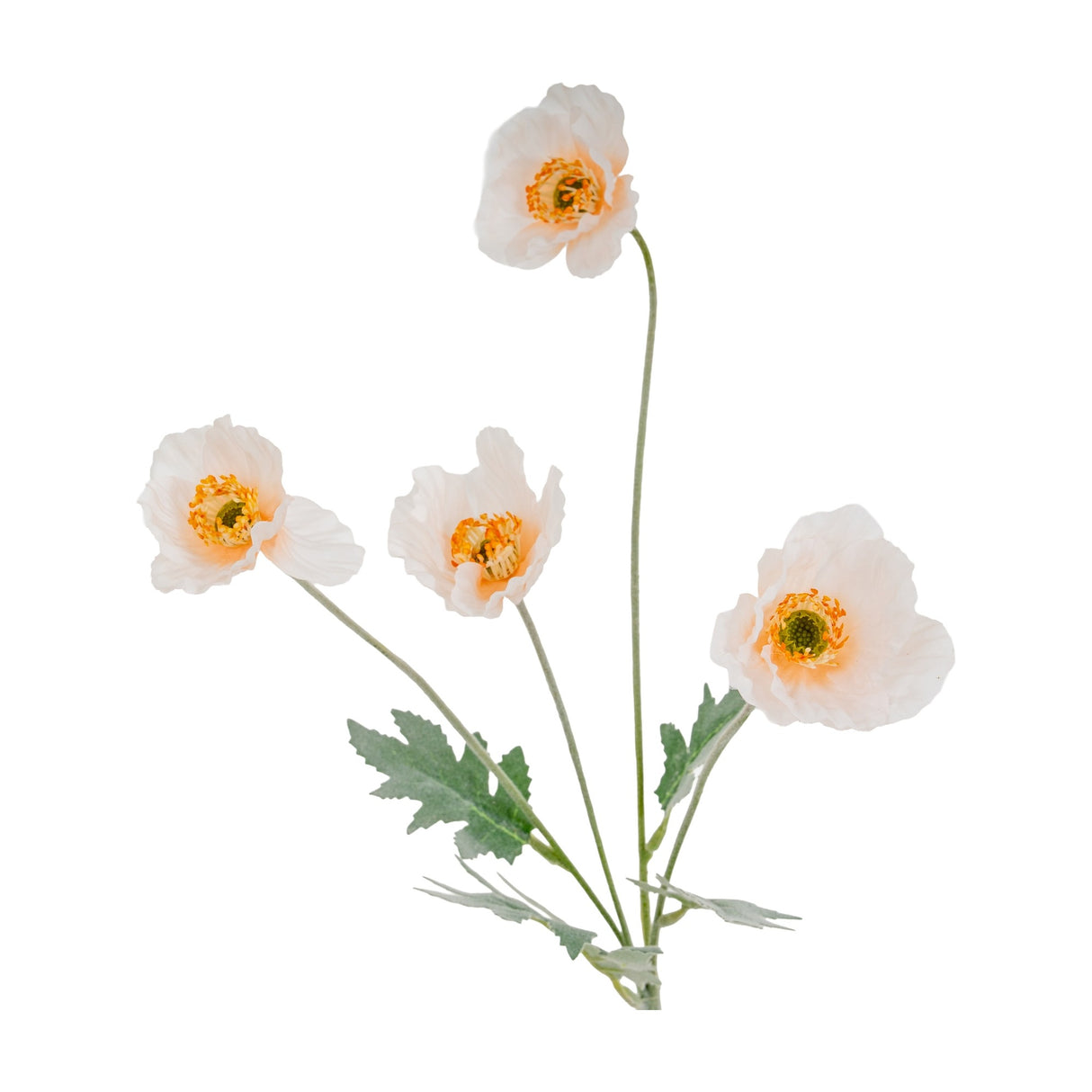Hill Interiors Cream Papaver Poppy Spray with four cream poppy heads, yellow centres and green foliage on bendable stems against a white background.