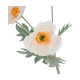 Close-up of Hill Interiors Cream Papaver Poppy Spray showing crinkled cream petals, orange stamens, green centres and grey-green foliage on a white background.