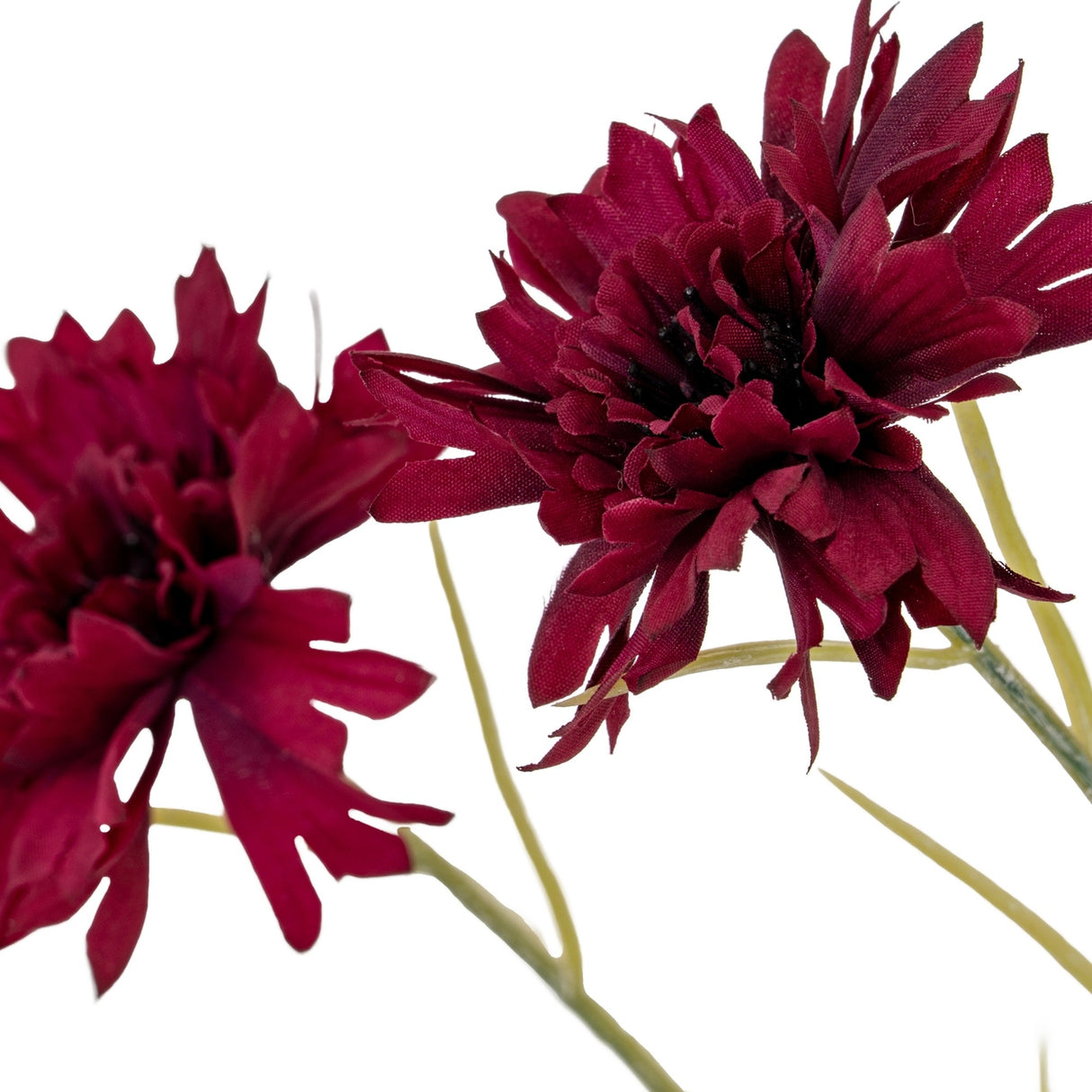 Hill Interiors Burgundy Cornflower Stem shown in close-up with two deep red frilled blooms and slim green stems against a white background.