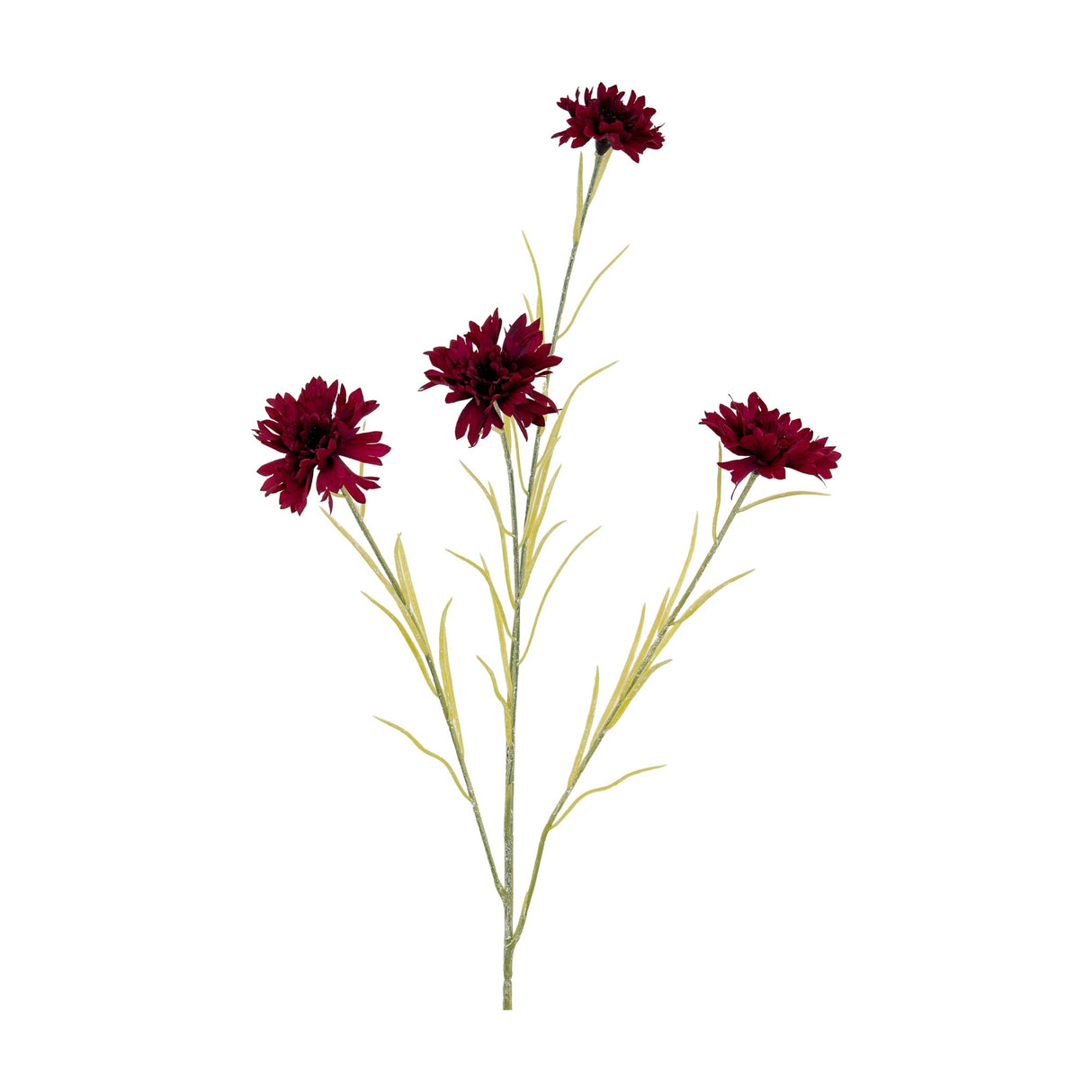 Hill Interiors Burgundy Cornflower Stem featuring four deep red ruffled blooms on slim branching stems with fine green foliage, shown on a white background.