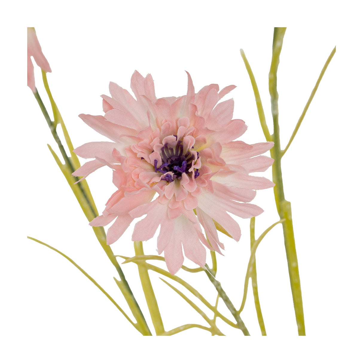 Close-up of Hill Interiors Pink Cornflower Stem showing frilled pink petals around a dark purple centre with slim green foliage on a white background.