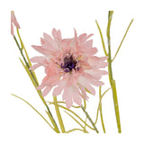 Close-up of Hill Interiors Pink Cornflower Stem showing frilled pink petals around a dark purple centre with slim green foliage on a white background.