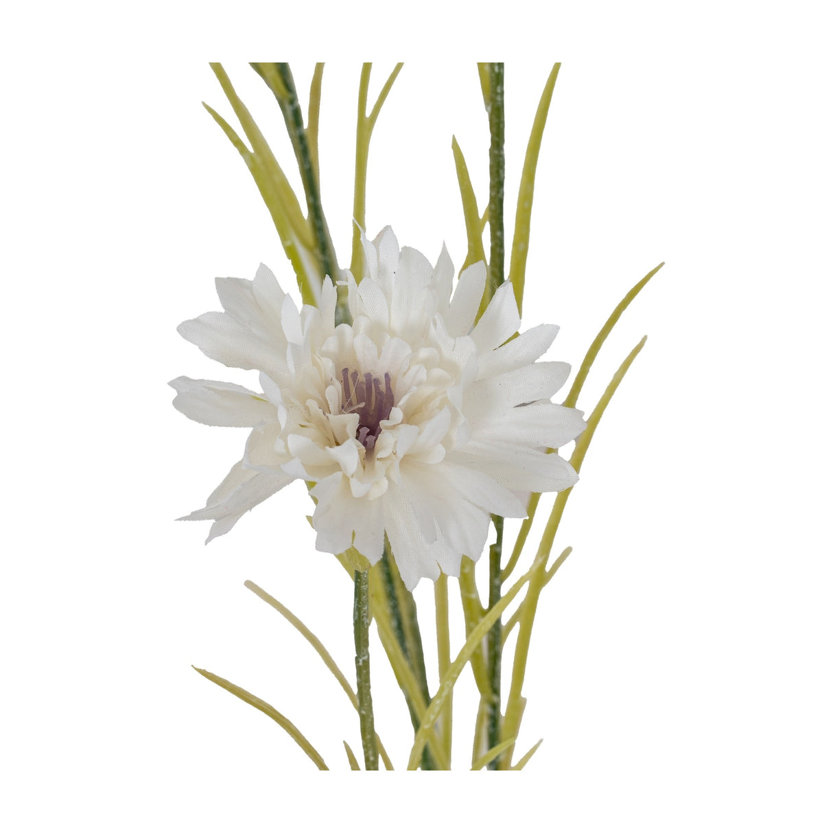 Hill Interiors white cornflower stem with fringed layered petals and slender green foliage, shown against a plain white background.