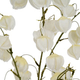 Close-up of Hill Interiors White Physalis Spray with matte white lantern-like pods and ribbed casings on slender green stems against a white background.