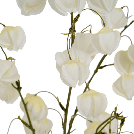 Close-up of Hill Interiors White Physalis Spray with matte white lantern-like pods and ribbed casings on slender green stems against a white background.