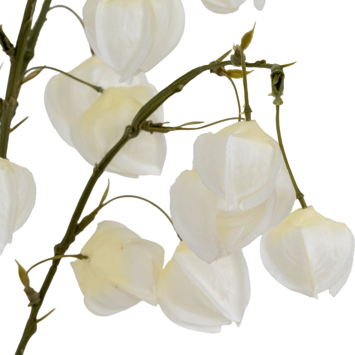 Close-up of Hill Interiors White Physalis Spray showing matte white lantern-like pods along slender green branches against a plain white background.