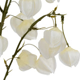 Close-up of Hill Interiors White Physalis Spray showing matte white lantern-like pods along slender green branches against a plain white background.