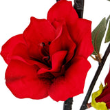 Close-up of the Hill Interiors Crimson Bloom Large Spray showing a red faux flower with layered petals, dark stamens and green leaves on a black stem.