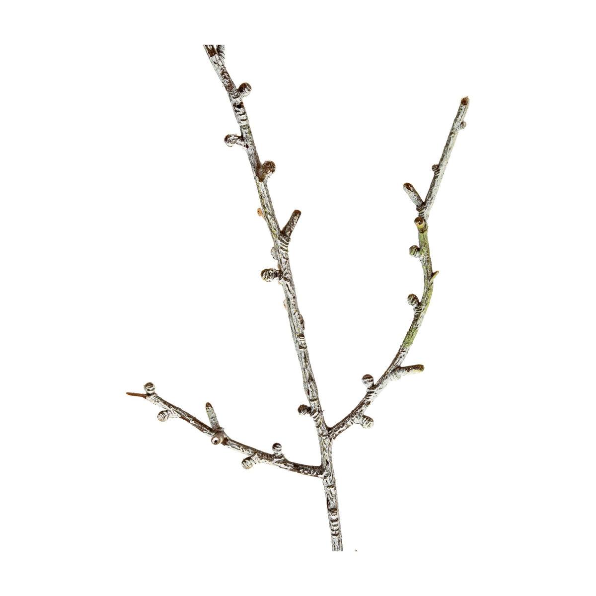 Hill Interiors Snowy Winter Woodland Branch, a tall faux foliage stem with slender forked twigs and a white frosted finish, on a plain background.