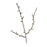 Hill Interiors Snowy Winter Woodland Branch, a tall faux foliage stem with slender forked twigs and a white frosted finish, on a plain background.