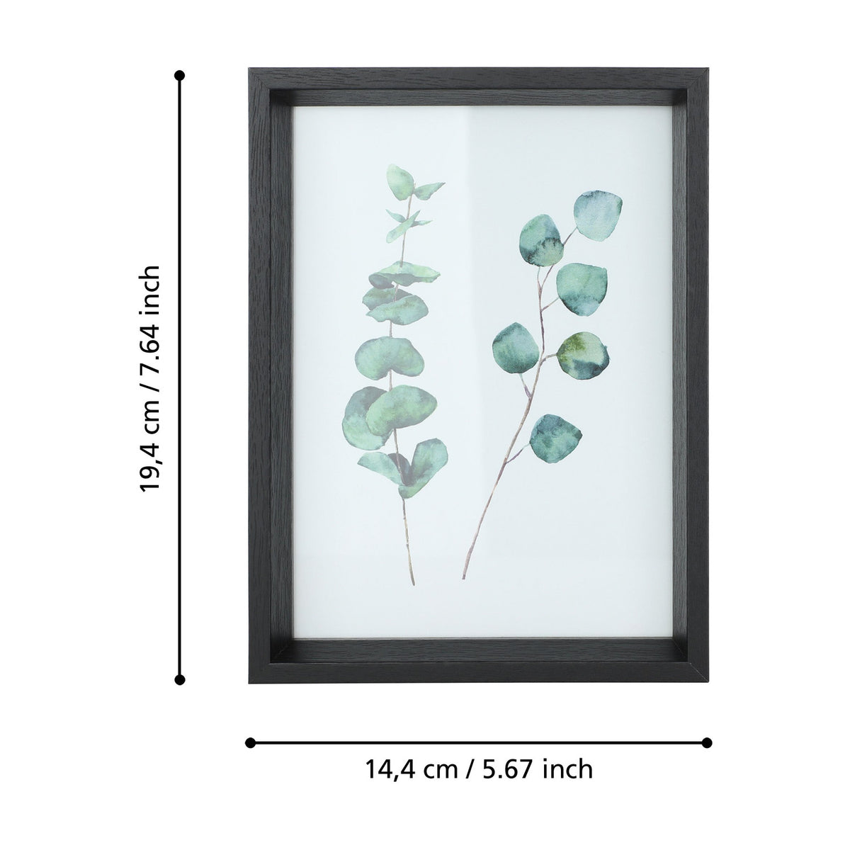 Renabie black photo frame with deep box profile and glass front, shown with dimensions 19.4cm by 14.4cm on a white background, displaying a watercolour eucalyptus print.