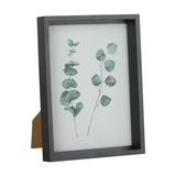 Renabie Photo Frame in black with a deep box profile, glass front, and kickstand, displaying a watercolour eucalyptus print on a plain white background.