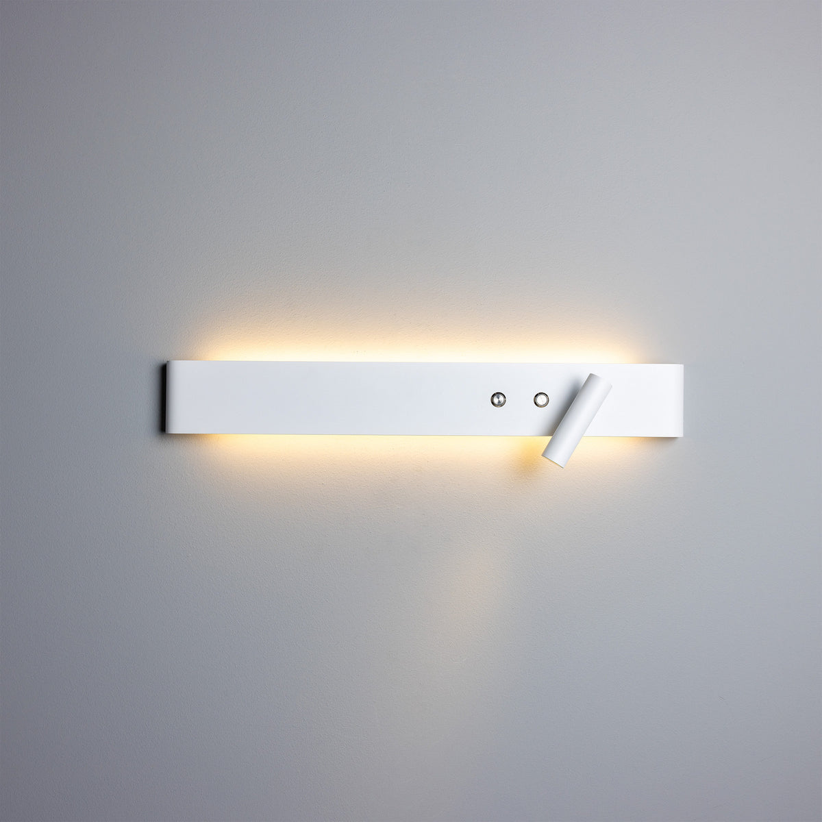 Richmond LED Wall Spotlight