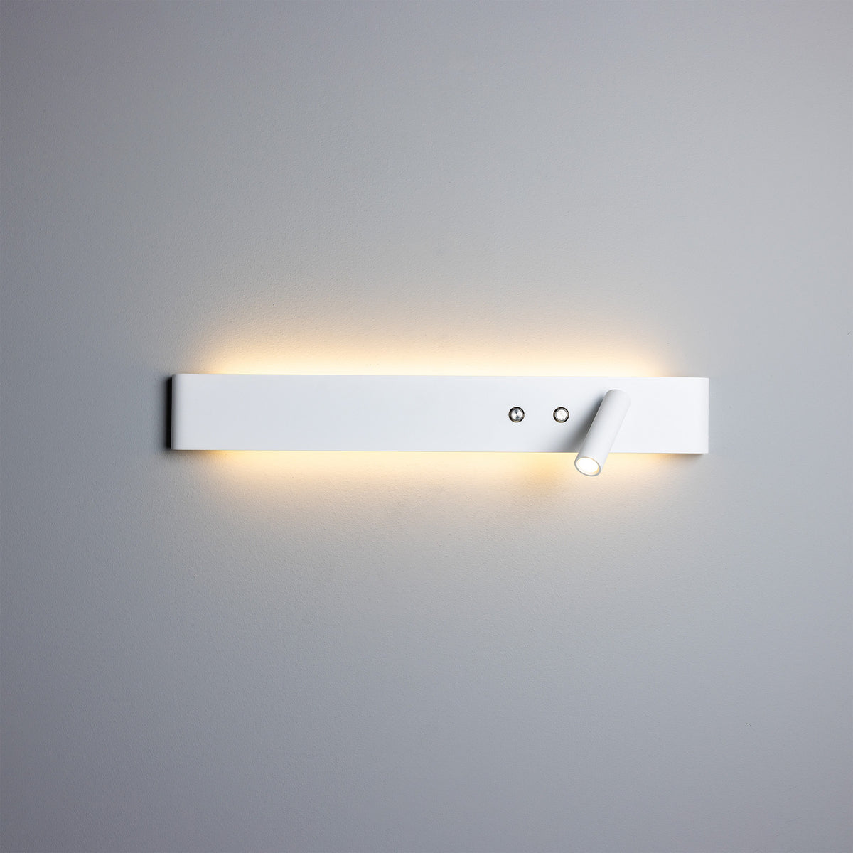 Richmond LED Wall Spotlight