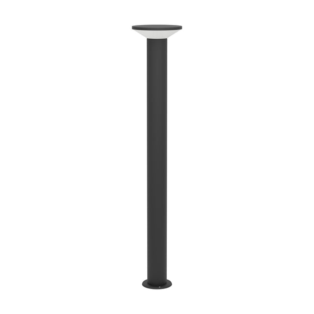 Rigosa outdoor LED floor lamp in black, slim steel post with round base plate and flat disc cap over a white plastic diffuser, shown on a plain white background.