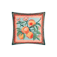 Outdoor Cushions