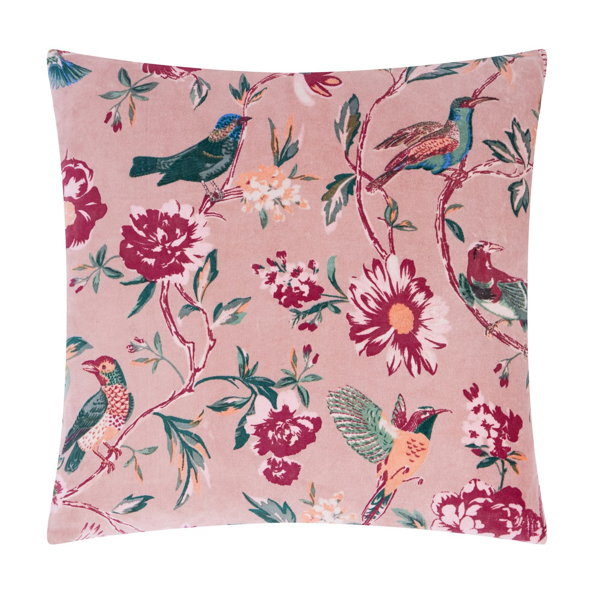Aviary Velvet Cotton Cushion in Blushed Rose, a pink square cushion printed with birds and florals in red, green, teal and apricot tones, on a white background.